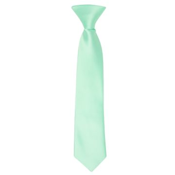 Pre Tied Mint Green Satin Boys Tie Age 4-7