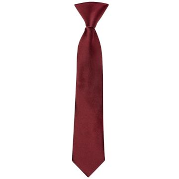 Pre Tied Burgundy Satin Boys Tie Age 4-7