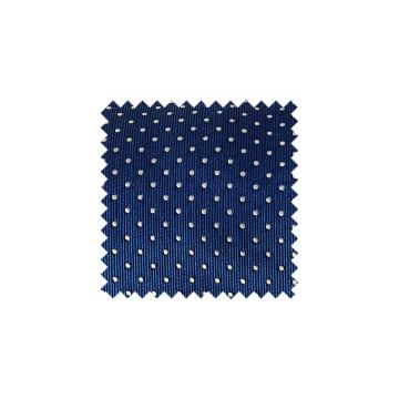 Blue and White Polka Dot Swatch - BLPD1