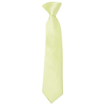 Pre Tied Willow Green Boys Tie Age 4-7