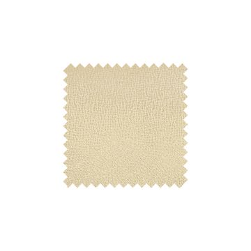 Plain Champagne Textured Silk Swatch - CPTS1