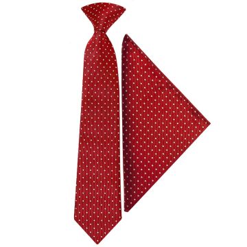 Pre Tied Red and White Polka Dot Boys Tie and Pocket Square Set Age 4-7