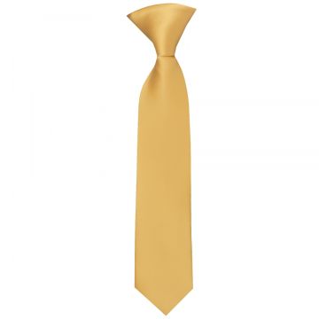 Pre Tied Caramel Satin Boys Tie Age 4-7
