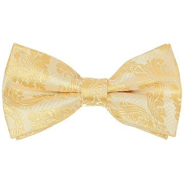 Pre Tied Caramel Paisley Boys Bow Tie Age 8-11