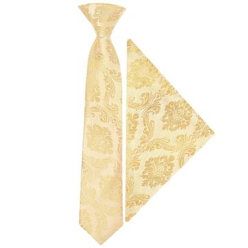 Pre Tied Caramel Paisley Boys Tie and Pocket Square Set Age 4-7