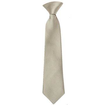 Pre Tied Dusty Sage Satin Boys Tie Age 4-7