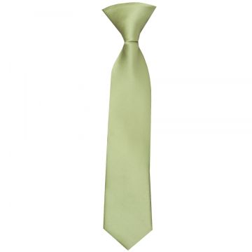 Pre Tied Sage Green Satin Boys Tie Age 4-7