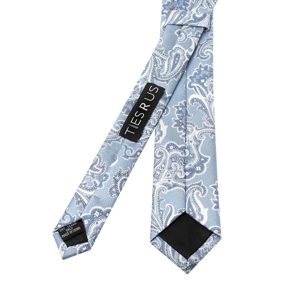 Blue and Silver Paisley Skinny Men's Tie