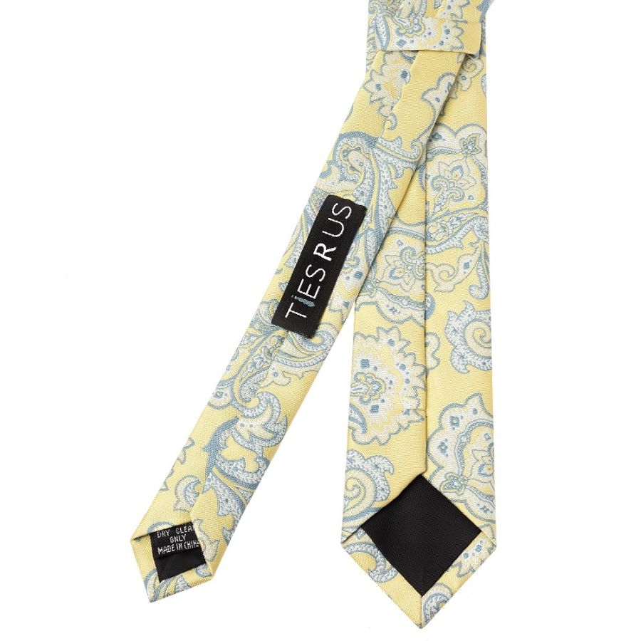 Yellow and Blue Paisley Skinny Men's Tie