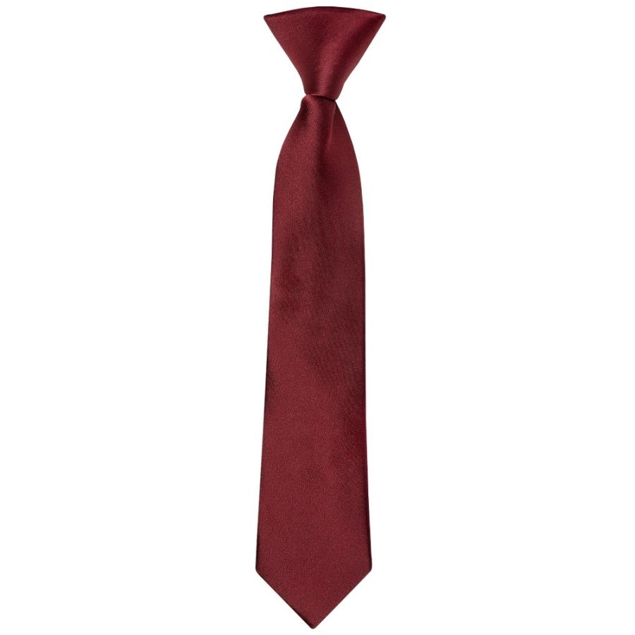 Pre Tied Burgundy Satin Boys Tie Age 4-7