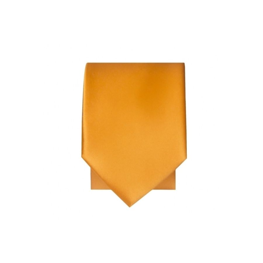 Plain Rust Satin Skinny Boys Tie and Pocket Square Set