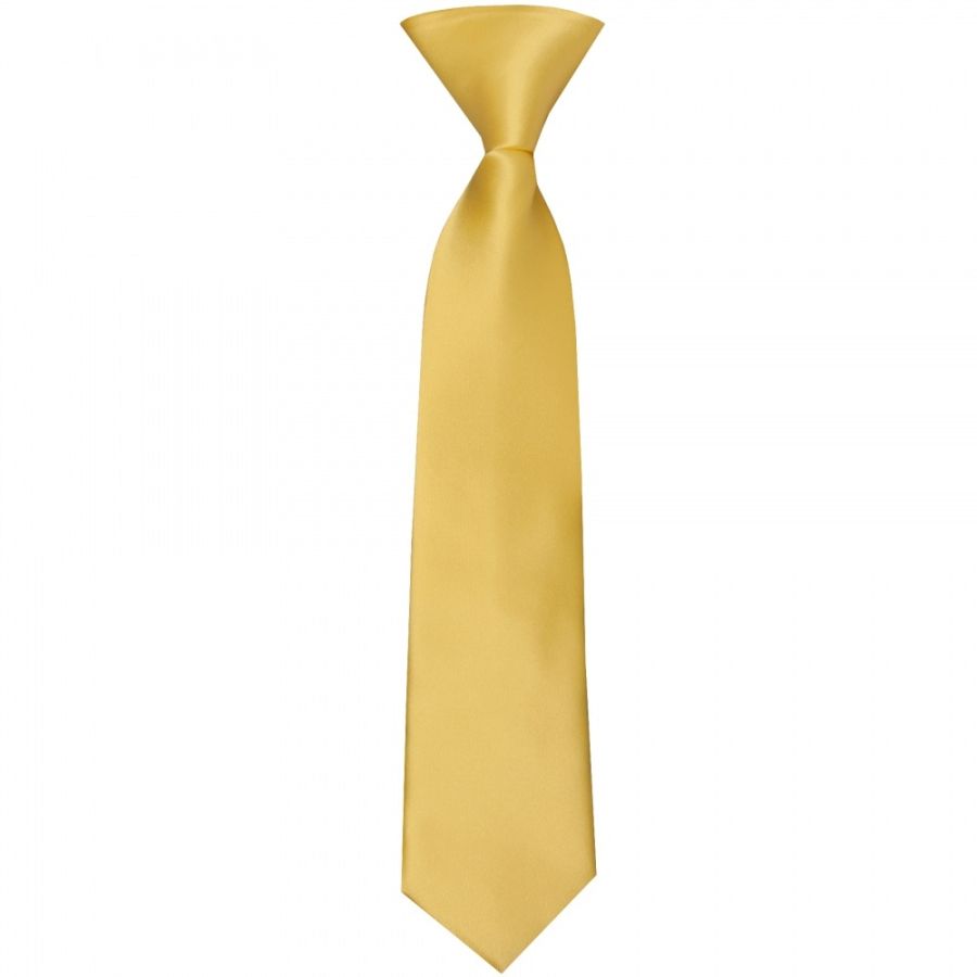 Pre Tied Plain Gold Satin Boys Tie Age 4-7