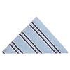 Blue Twin Stripe Pocket Square