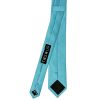 Turquoise Satin Skinny Boys Tie