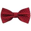 Pre Tied Red and White Polka Dot Boys Bow Tie and Pocket Square Set 