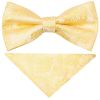 Pre Tied Gold Paisley Boys Bow Tie and Pocket Square Set