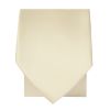 Ivory Satin Skinny Boys Tie