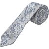 Silver and Blue Paisley Skinny Men's Tie