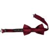 Pre Tied Burgundy Satin Boys Bow Tie and Pocket Square Set