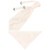 Blush Diamond Men's Cravat Tie and Pocket Square Set