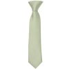 Pre Tied Light Sage Green Silk Boys Tie Age 4-7