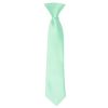 Pre Tied Mint Green Satin Boys Tie Age 4-7