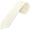 Ivory Paisley Skinny Men's Tie and Pocket Square Set