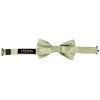 Pre Tied Sage Green Silk Boys Bow Tie and Pocket Square Set Age 4-7