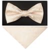 Handmade Blush Paisley Mens Bow Tie and Pocket Square Set