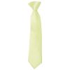 Pre Tied Willow Green Boys Tie Age 4-7
