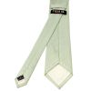 Plain Light Sage Green Silk Classic Men's Tie and Pocket Square Set