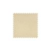Plain Champagne Textured Silk Swatch - CPTS1