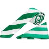 Green and White Striped Skinny Boys Tie Pocket Square Set