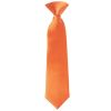 Pre Tied Burnt Orange Satin Boys Tie and Pocket Square Set Age 4-7 