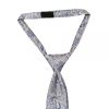 Pre Tied Silver and Blue Paisley Boys Tie and Pocket Square Set Age 4-7