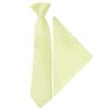 Pre Tied Willow Green Boys Tie and Pocket Square Set Age 4-7