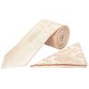 Blush Paisley Classic Men's Tie and Pocket Square Set