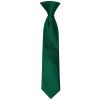 Pre Tied Bottle Green Satin Boys Tie Age 4-7