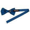 Plain Royal Blue Satin Silk Mens Bow Tie