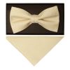 Plain Champagne Textured Silk Mens Bow Tie and Pocket Square Set