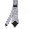 Silver and Blue Paisley Classic Men's Tie