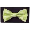 Sage Green Paisley Handmade Mens Bow Tie