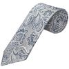 Silver and Blue Paisley Classic Men's Tie