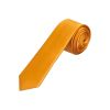 Plain Rust Satin Skinny Boys Tie