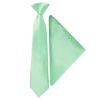 Pre Tied Seafoam Green Boys Tie and Pocket Square Set Age 4-7