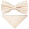 Pre Tied Blush Paisley Boys Bow Tie and Pocket Square Set