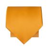Plain Rust Satin Classic Men's Tie