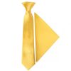 Pre Tied Yellow Gold Satin Boys Tie and Pocket Square Set Age 4-7