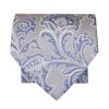 Silver and Blue Paisley Classic Men's Tie