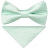Pre Tied Mint Polka Dot Boys Bow Tie and Pocket Square Set